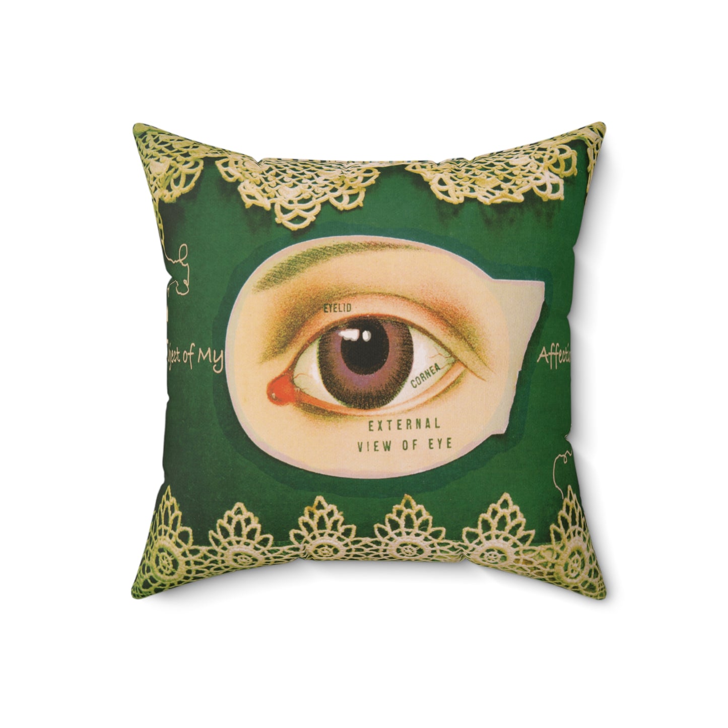 Shawn Colvin "Object Of My Affection" Throw Pillow